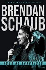 Watch Brendan Schaub: You\'d Be Surprised Vidbull
