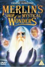 Watch Merlin's Shop of Mystical Wonders Vidbull