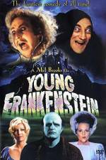 Watch Young Frankenstein Vidbull