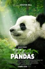 Watch Pandas Vidbull
