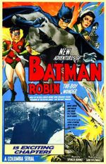 Watch Batman and Robin Vidbull