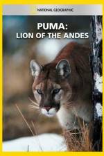 Watch National Geographic Puma: Lion of the Andes Vidbull