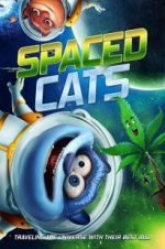Watch Spaced Cats Vidbull