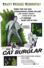 Watch The Cat Burglar Vidbull