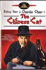 Watch Charlie Chan in The Chinese Cat Vidbull