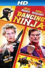 Watch Dancing Ninja Vidbull