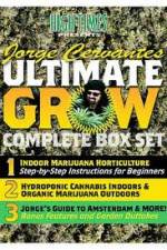 Watch Jorge Cervantes Ultimate Grow Complete Box Set Vidbull