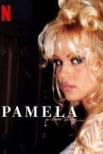Watch Pamela, a Love Story Vidbull