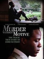 Watch Murder Without Motive: The Edmund Perry Story Vidbull