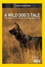 Watch A Wild Dogs Tale Vidbull