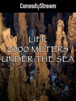 Watch Life 2,000 Meters Under the Sea Vidbull