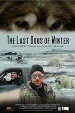 Watch The Last Dogs of Winter Vidbull
