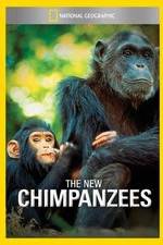 Watch The New Chimpanzees Vidbull
