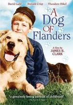 Watch A Dog of Flanders Vidbull