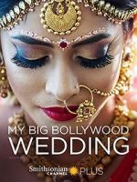 Watch My Big Bollywood Wedding Vidbull