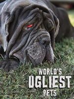 Watch World\'s Ugliest Pets Vidbull