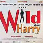 Watch Wild About Harry Vidbull