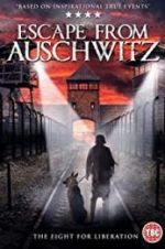 Watch The Escape from Auschwitz Vidbull