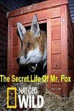 Watch The Secret Life of Mr. Fox Vidbull