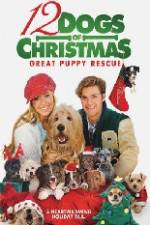 Watch 12 Dogs of Christmas Great Puppy Rescue Vidbull