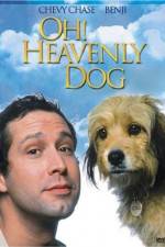 Watch Oh Heavenly Dog Vidbull