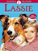Watch Lassie: A New Beginning Vidbull