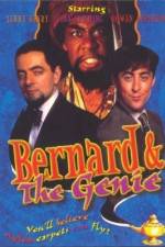 Watch Bernard and the Genie Vidbull