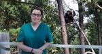Watch Sue Perkins and the Chimp Sanctuary Vidbull