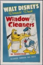 Watch Window Cleaners Vidbull