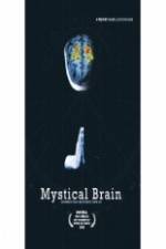 Watch Mystical Brain Vidbull