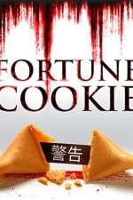 Watch Fortune Cookie Vidbull