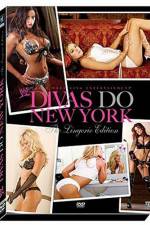 Watch WWE Divas Do New York Vidbull