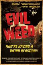 Watch Evil Weed Vidbull