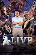 Watch David Attenborough\'s Natural History Museum Alive Vidbull