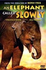 Watch An Elephant Called Slowly Vidbull