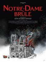 Watch Notre-Dame brûle Vidbull