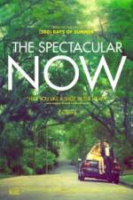 Watch The Spectacular Now Vidbull