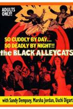 Watch The Black Alley Cats Vidbull