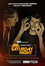 Watch Mr. Saturday Night Vidbull