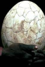 Watch Attenborough And The Giant Egg Vidbull