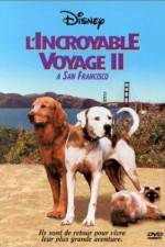 Watch Homeward Bound II Lost in San Francisco Vidbull