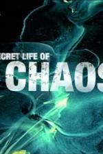 Watch The Secret Life of Chaos Vidbull