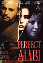 Watch Perfect Alibi Vidbull