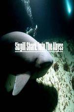 Watch National Geographic Wild Sixgill Shark Into The Abyss Vidbull