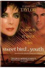 Watch Sweet Bird of Youth Vidbull