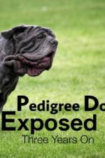Watch Pedigree Dogs Exposed, Three Years On Vidbull
