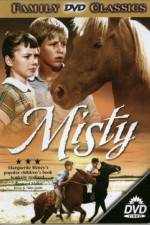 Watch Misty Vidbull