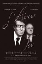 Watch L'amour fou Vidbull