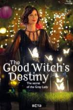 Watch The Good Witchs Destiny Vidbull