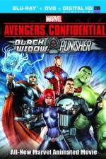 Watch Avengers Confidential: Black Widow & Punisher Vidbull